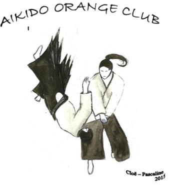 Aïkido Orange Club (84)